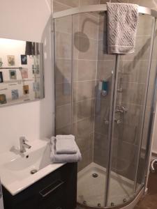 un bagno con doccia e lavandino di STUDIO LE CHOUETTE a Digione