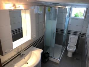 a bathroom with a shower and a toilet and a sink at Irida Apartments in Nea Skioni