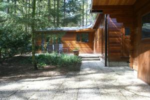 a log cabin with a pathway leading to the front door at t'Bakkersboschje nummer 8 in Putten