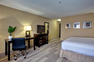a hotel room with a bed and a desk and a television at Holiday Inn Express Costa Mesa, an IHG Hotel in Costa Mesa