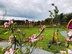 Garður fyrir utan Clonakilty Accommodation An Úllórd Getways