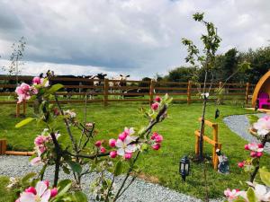 a fence with pink flowers and cows in a field at Clonakilty Accommodation An Úllórd Getways in Clonakilty