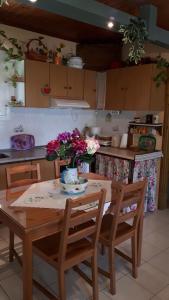 Kuchyň nebo kuchyňský kout v ubytování Platanos House
