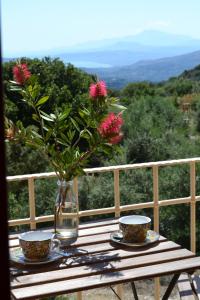 Φωτογραφία από το άλμπουμ του Villa Artemis στο Μελιδόνι +11 φωτογραφίες