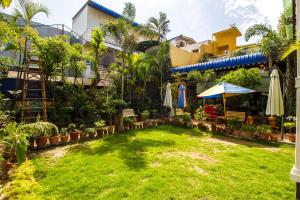 a courtyard of a building with a lawn and plants at Hotel Ashrey in Dehradun