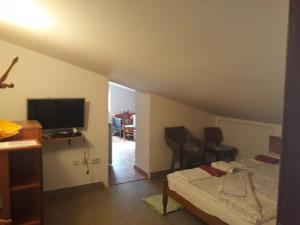 a room with a bed and a television and a desk at Guest House Olga in Budva