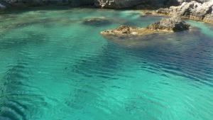 an aerial view of a body of water with rocks at Roses Studios in Karpathos