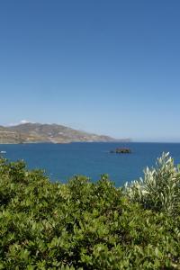 a view of the ocean from behind some trees at Theaktis Homes in Kaloi Limenes