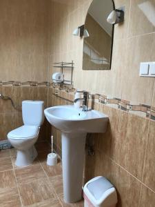 een badkamer met een wastafel, een toilet en een spiegel bij Pensiunea Igazland *** in Dumbrava