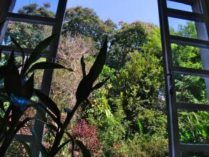 Zahrada ubytování Hotel Curitiba Campo Comprido