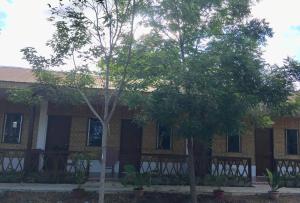 a house with two trees in front of it at Panglao Rainbow Inn in Tagbilaran City