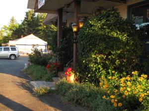 Blue Mountain Motel