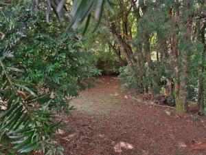 Zahrada ubytování Hotel Curitiba Campo Comprido