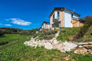 una casa al lado de una colina con rocas en Einzelhaus Premium im Feriendorf a en Truppach