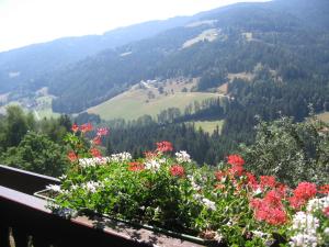 Příroda nedaleko bed and breakfast