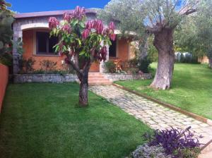 a house with a tree with pink flowers in the yard at Residence Baia Infreschi in Marina di Camerota
