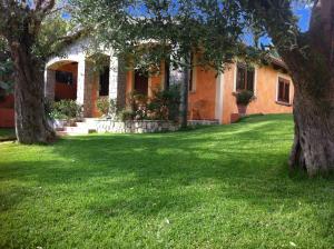 an orange house with a tree in the yard at Residence Baia Infreschi in Marina di Camerota
