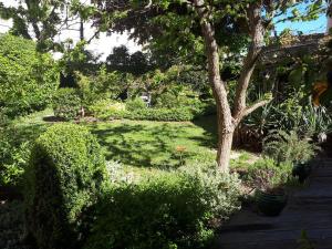 ルマンにあるLe Mans Chambreの木の茂る庭園