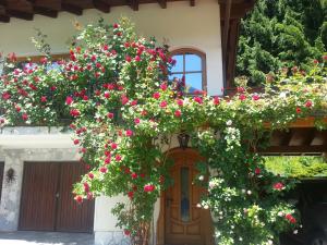 Zahrada ubytování Ferienhaus Kramser