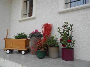 eine Gruppe von Topfpflanzen, die neben einer Wand sitzen in der Unterkunft Un bouquet de Tangissart in Villepinte