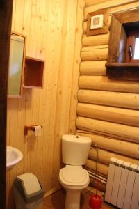 a bathroom with a toilet in a log cabin at Velikoe Ozero - Valday in Simanikha