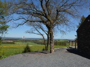 a tree sitting on top of a hill next to a building at Spacious Chalet in Vielsalm with Garden in Vielsalm