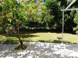 Vonkajšia záhrada v ubytovaní Lefkada SunCentral Apartments