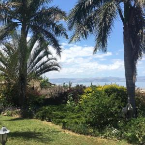 un jardín con palmeras y luz de la calle en Nof Kineret Suites, en Ramot