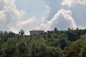 una casa in cima a una collina con alberi di Casa Felmar a Incisa Scapaccino