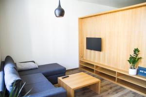 TV a/nebo společenská místnost v ubytování APART U LVA