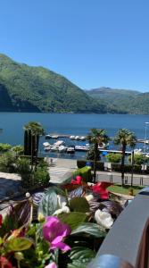a view of a body of water with flowers at B & B Sul Lago in Porlezza