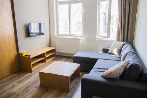 TV a/nebo společenská místnost v ubytování APART U LVA