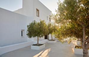 Milos Breeze Boutique Hotel外面的花园