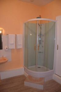 a bathroom with a shower and a sink at Le Lion d'Or in Selles-sur-Cher