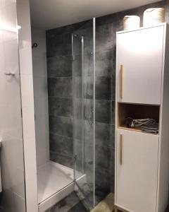 La salle de bains est pourvue d'une douche avec une porte en verre. dans l'établissement Apartmán T5 Vrchlabí, à Vrchlabí