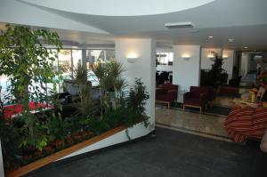 a living room filled with furniture and plants at Estalagem do Vale in São Vicente