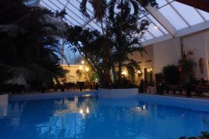 a large swimming pool in a building with a glass ceiling at Hotel Tropical in Durbuy