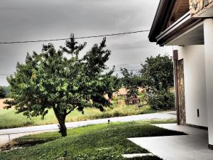 Zahrada ubytování Alloggio Agrituristico Ai Tre Castelli