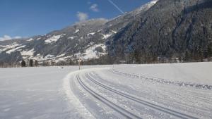 Appartement Gredler Martina during the winter