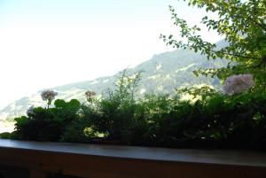 A general mountain view or a mountain view taken from Az apartmant