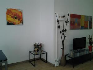 a living room with a tv and a table with a vase at casita bonita in Vinaròs