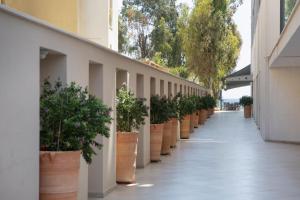 Fotografie z fotogalerie ubytování Harmony Bay Hotel v destinaci Limassol