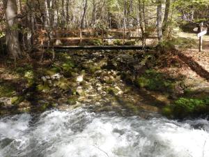 Φυσικό τοπίο κοντά σε αυτό το δωμάτιο σε οικογενειακή κατοικία
