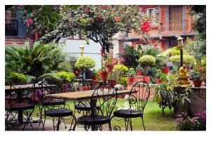 Kebun di luar Hotel Ganesh Himal