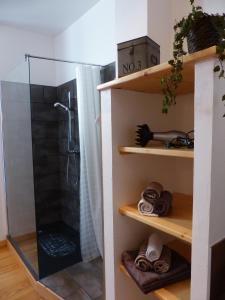 W łazience znajduje się prysznic ze szklaną kabiną prysznicową. w obiekcie Gite de l'Amistat w mieście Vicdessos
