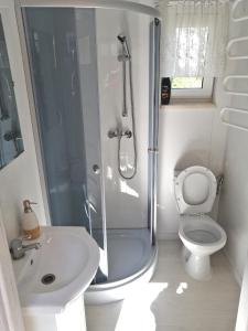 een badkamer met een douche, een toilet en een wastafel bij Apartament Antonio 1 Gdańsk in Gdańsk