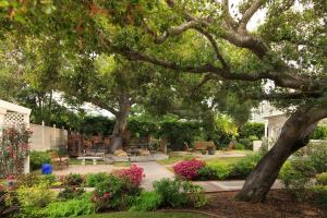 un jardín con un banco, árboles y flores en Cheshire Cat Inn & Cottages, en Santa Bárbara