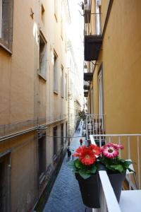 a balcony with flowers on a city street at Domus Studio 25 bed & breakfast in Naples