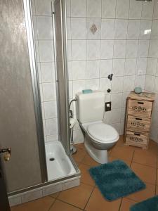 y baño pequeño con aseo y ducha. en Blick auf Ehrenberg, en Reutte