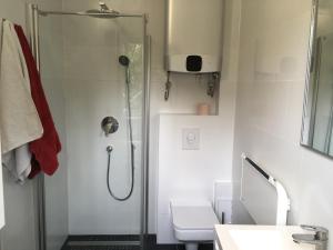 een badkamer met een douche, een toilet en een wastafel bij Szende Apartman in Balatonfüred